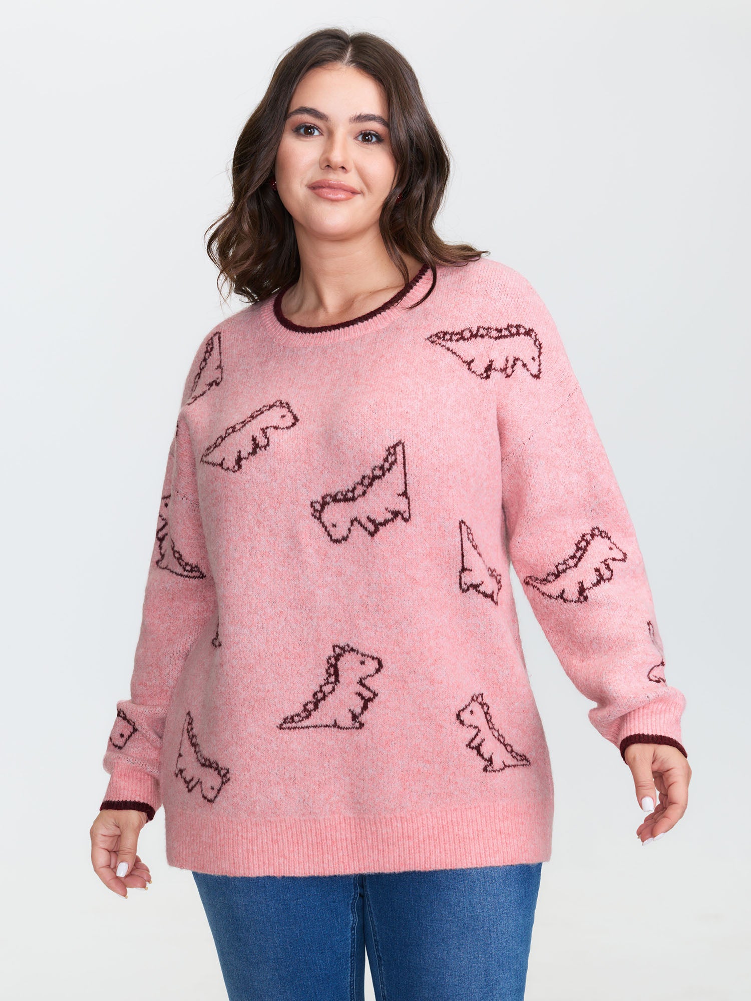 Dinosaur Pattern Jacquard Pullover