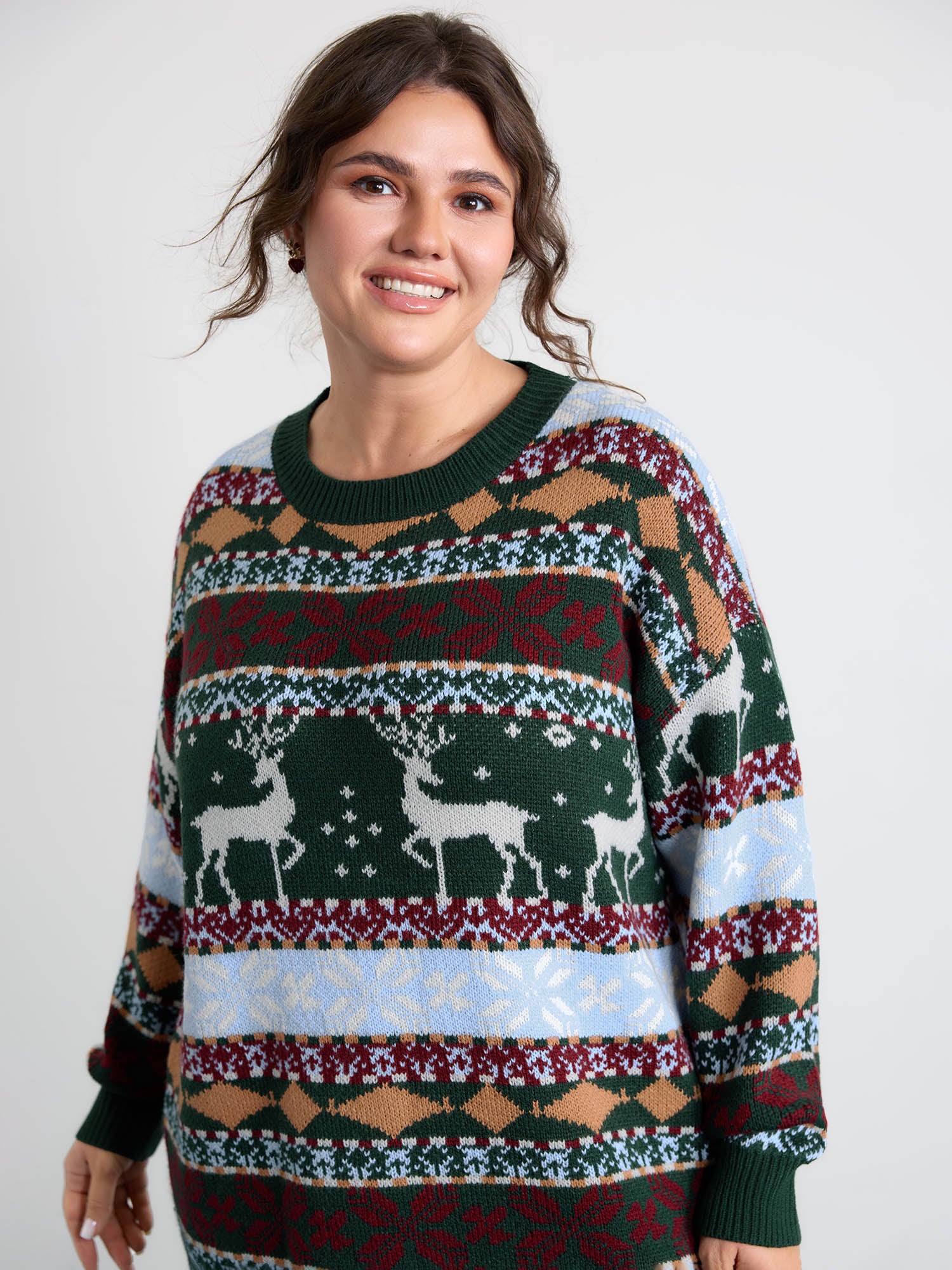 Elk Christmas Print Jacquard Ribbed Hem Pullover